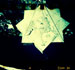116_TMX_400_004_m