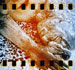 116_TMX_400_004_m