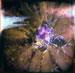 116_TMX_400_004_m